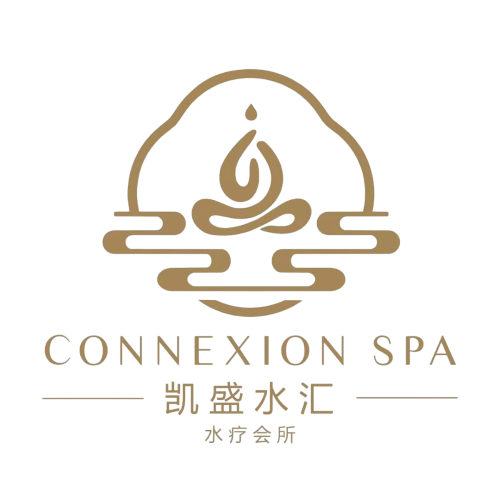 Connexion Spa